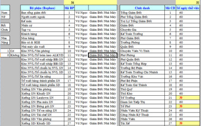 Nên quản lý hồ sơ nhân viên bằng excel hay phần mềm nhân sự?