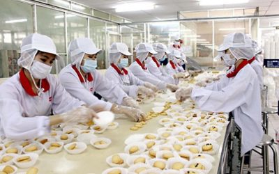 Giải pháp quản lý nhân sự cho ngành chế biến thực phẩm