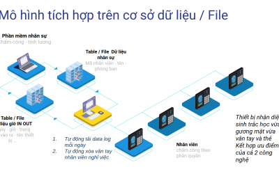 Time management & productivity 1 4 cách lấy dữ liệu máy chấm công từ nhiều địa điểm trong các doanh nghiệp nhiều chi nhánh