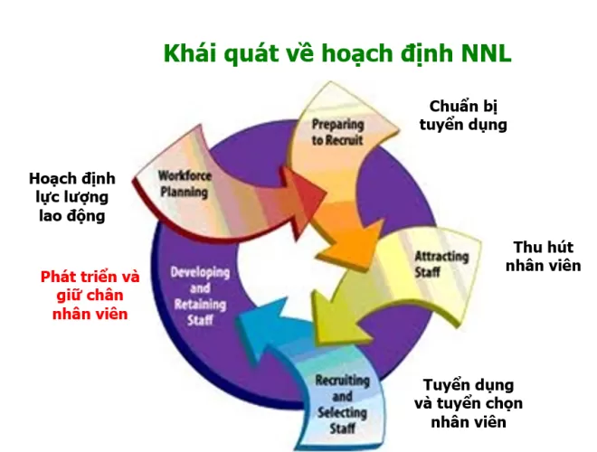 Tổng kết hội thảo | Hoạch định nguồn nhân lực và Xây dựng kế hoạch đào tạo năm 2015 4 Tổng kết hội thảo | Hoạch định nguồn nhân lực và Xây dựng kế hoạch đào tạo năm 2015 3