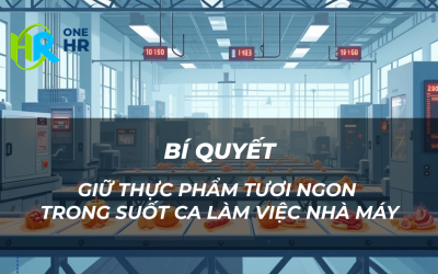 Bí Quyết Giữ Thực Phẩm Tươi Ngon Trong Suốt Ca Làm Việc Nhà Máy